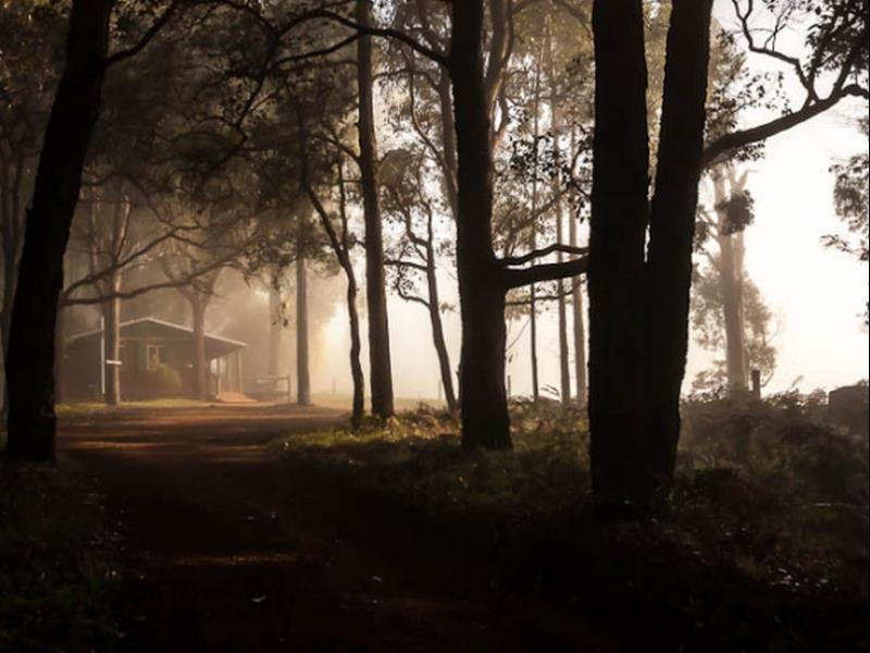Balingup Heights Hilltop Forest Cottages エクステリア 写真