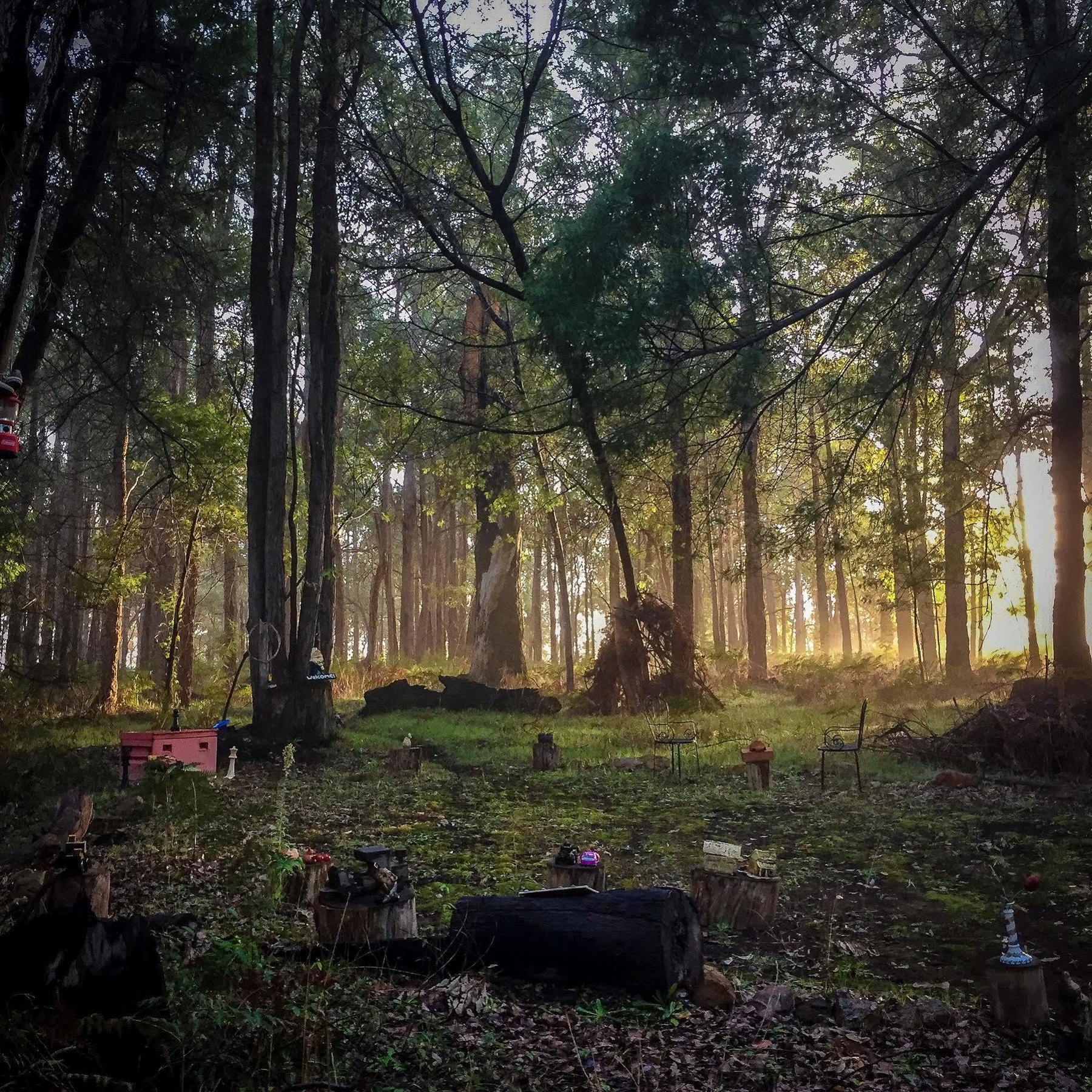 Balingup Heights Hilltop Forest Cottages エクステリア 写真