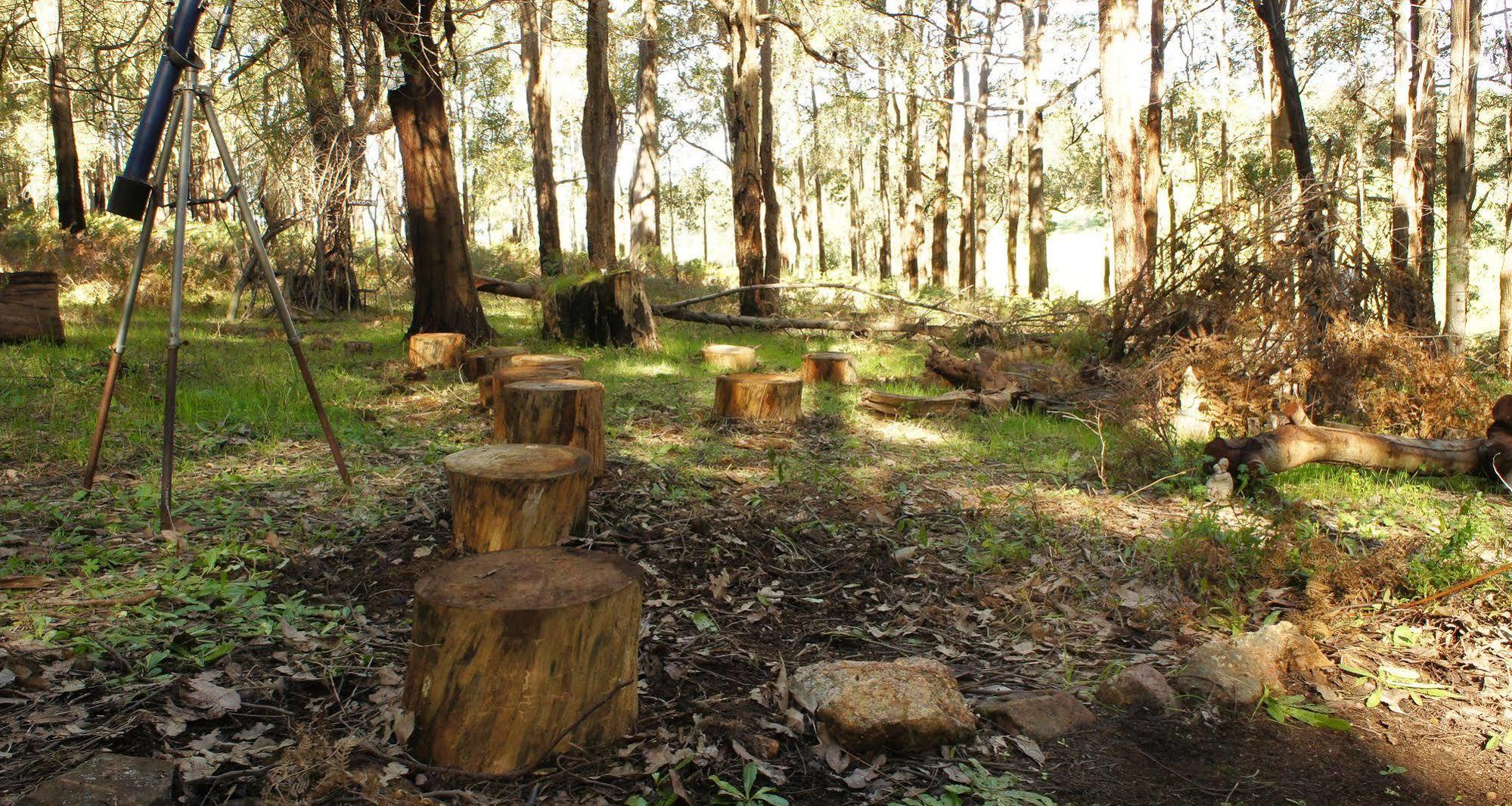 Balingup Heights Hilltop Forest Cottages エクステリア 写真